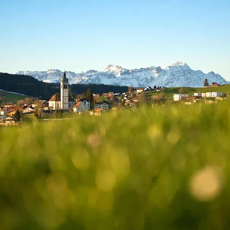 Hotel Krone 4*